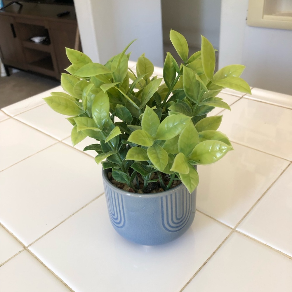 Artificial Plant